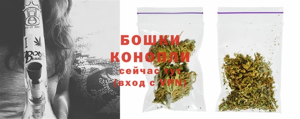 СК Аркадак