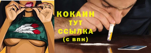 крисы Майский