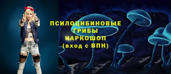 МДПВ Алексин