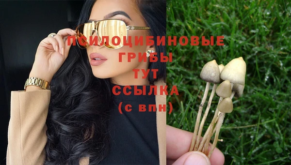 кокаин Алексеевка