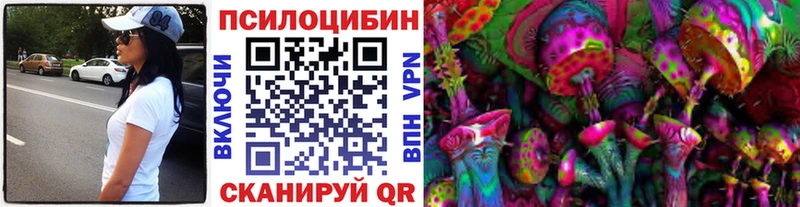 цены наркотик Курган Псилоцибиновые грибы MAGIC MUSHROOMS